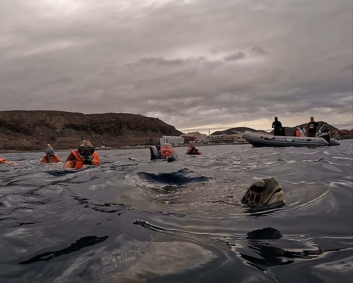 Picture 5 for Activity Tenerife: Kayak and Snorkel and fotos free Small group