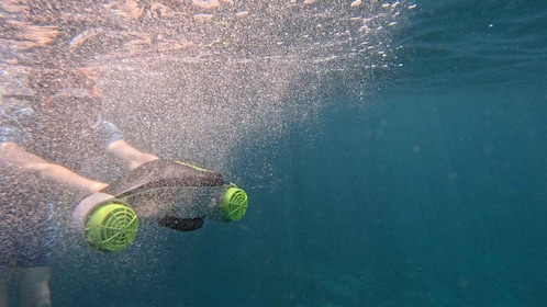 Tenerife: kayak tour with animals and underwater scooters