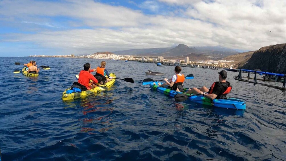 Picture 9 for Activity Tenerife: Kayak and Snorkel with Turtles