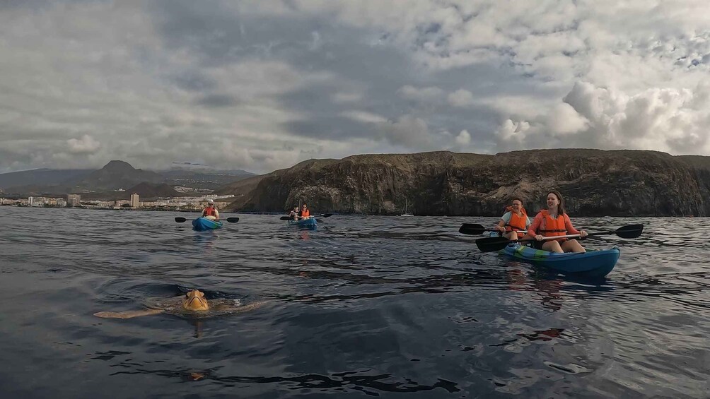 Picture 8 for Activity Tenerife: Kayak and Snorkel with Turtles