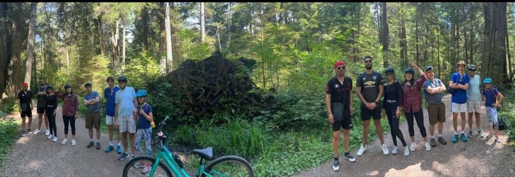 Picture 3 for Activity Bike Vancouver: Stanley Park & the world famous seawall