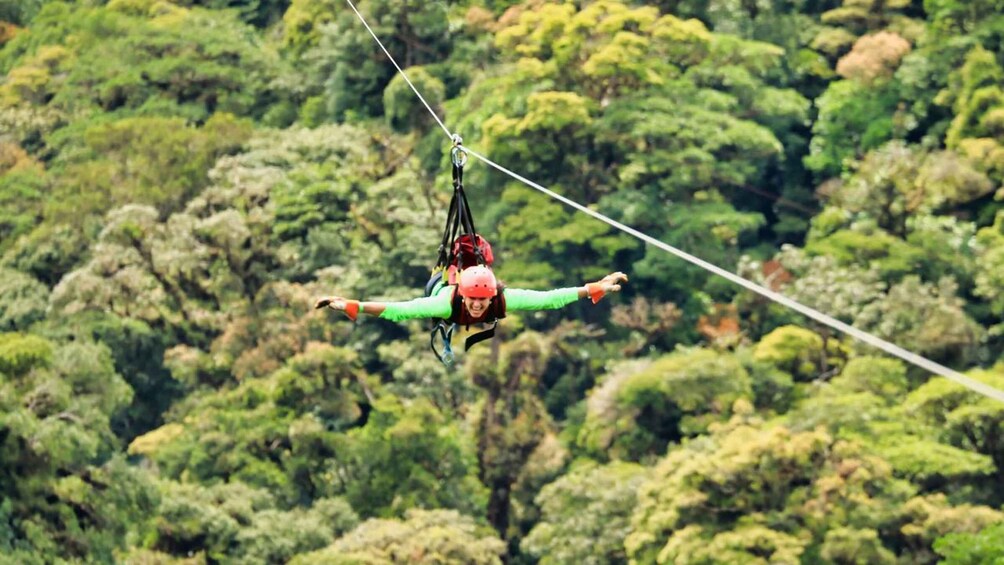 Monteverde: Zip Line, Bridges, and Butterfly Garden Tour