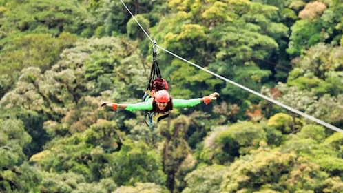 Monteverde: Zip Line, Bridges, and Butterfly Garden Tour