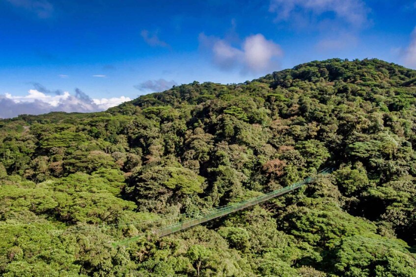 Picture 5 for Activity Monteverde: Zip Line, Bridges, and Butterfly Garden Tour