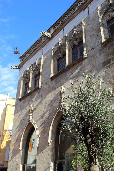 Picture 2 for Activity Perpignan : 1h private tour for small group