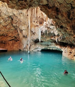 From Merida: 4 different Cenotes with lunch