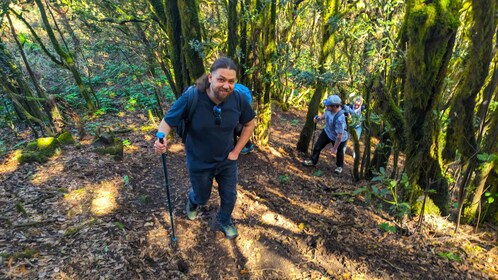 Tenerife: Hiking Tour Above Masca & Enchanted Forest