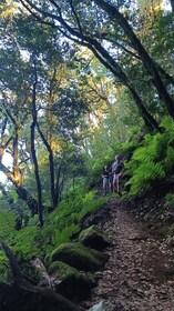 Hiking through Enchanted Forest above Masca Half-day hike