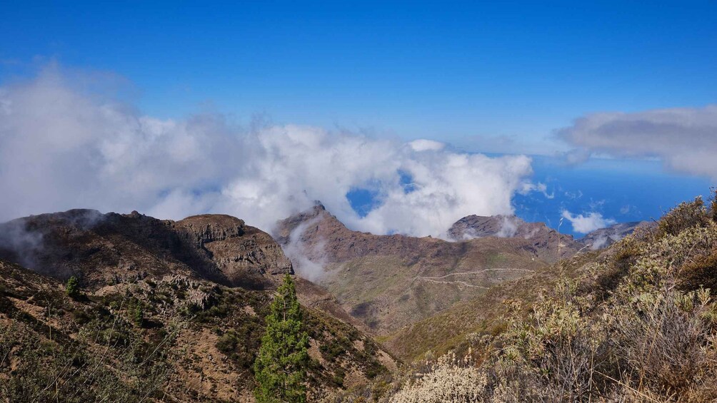 Picture 6 for Activity Tenerife: Hiking Tour Above Masca and Enchanted Forest