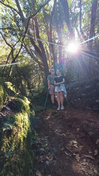 Picture 26 for Activity Tenerife: Hiking Tour Above Masca and Enchanted Forest