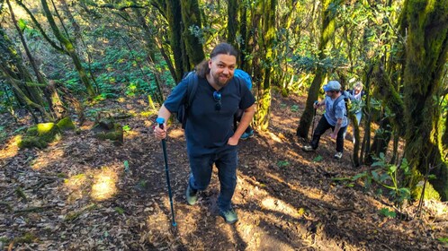 Tenerife: Hiking Tour Above Masca & Enchanted Forest