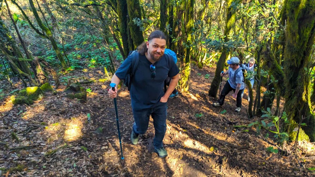 Picture 3 for Activity Tenerife: Hiking Tour Above Masca and Enchanted Forest