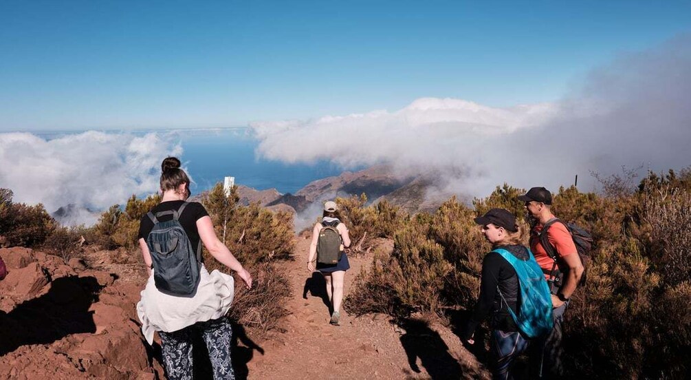 Tenerife: Hiking Tour Above Masca and Enchanted Forest