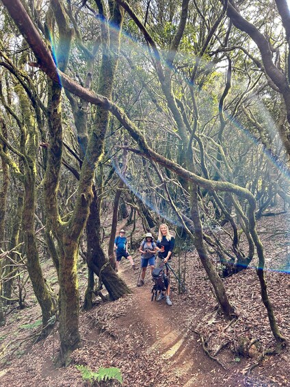 Picture 19 for Activity Tenerife: Hiking Tour Above Masca and Enchanted Forest