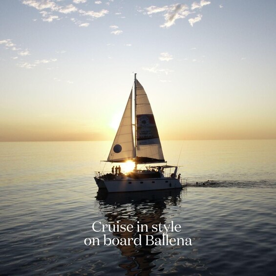 Picture 4 for Activity Broome: Catamaran Sunset Cruise with Canapes