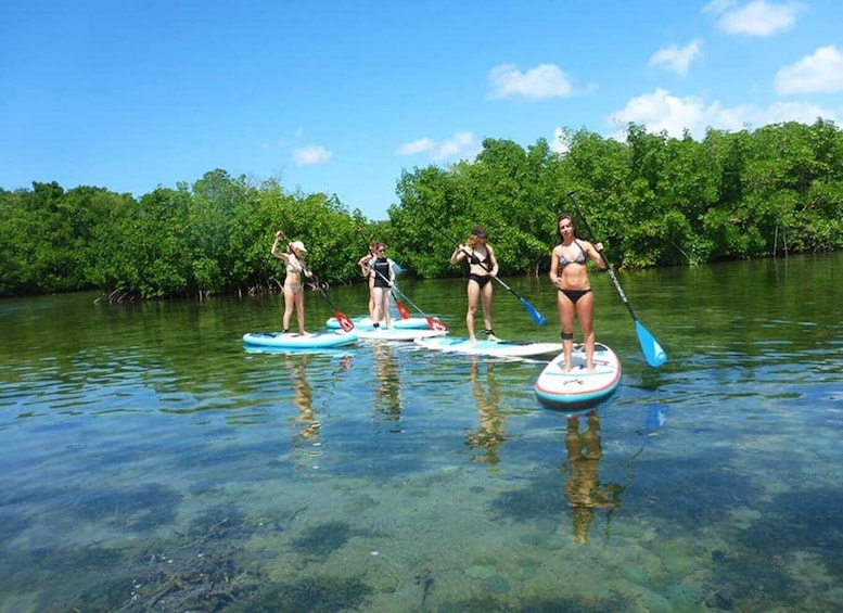 Picture 1 for Activity Guadeloupe: Stand-Up Paddle Board Rental