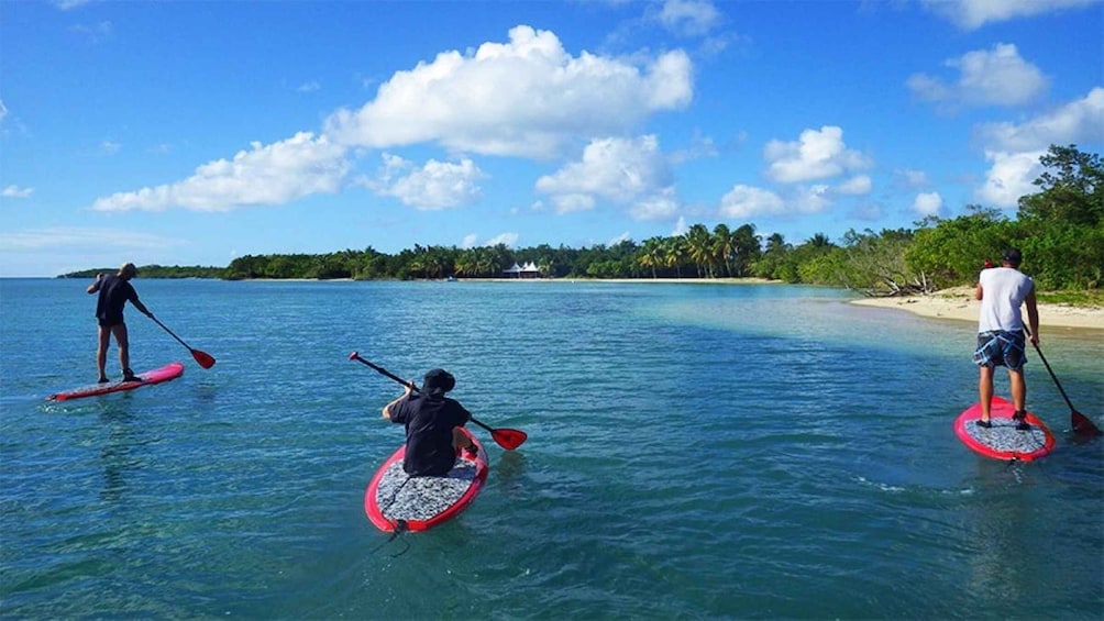 Guadeloupe: Stand-Up Paddle Board Rental