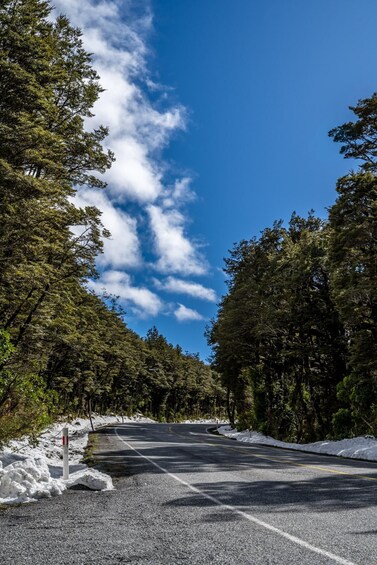 Picture 3 for Activity From Christchurch: Arthur's Pass Guided Day Trip with Lunch