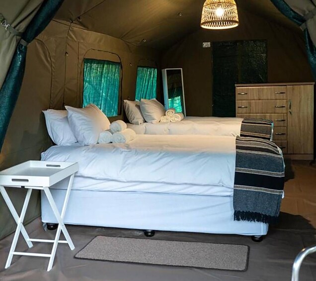 Picture 4 for Activity 4 Day Kruger Glamping Budget Adventure