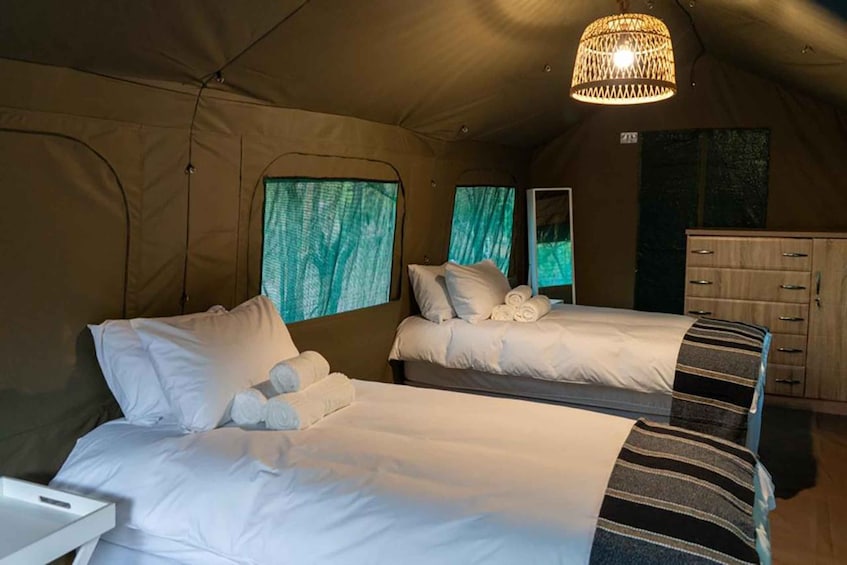 4 Day Kruger Glamping Budget Adventure