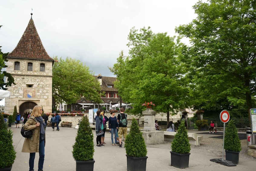 Picture 9 for Activity From Zurich to The Rhine Falls