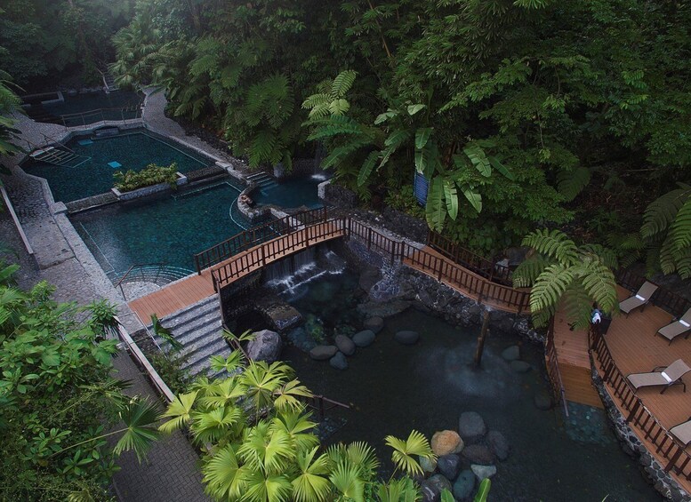 Picture 2 for Activity From San Jose: Arenal Volcano With Ecotermales Hot Springs