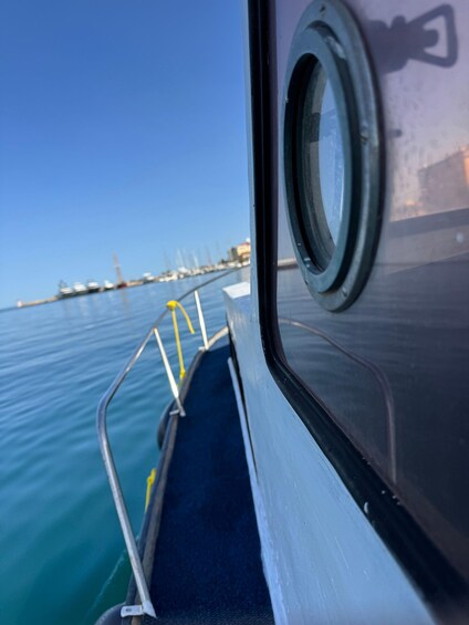 Picture 2 for Activity Panoramic cruise Zadar
