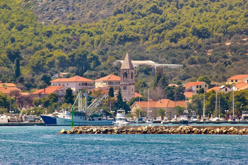 Picture 5 for Activity Zadar: Full-Day Sailing Trip with Snorkeling