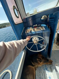 Panoramic cruise Zadar