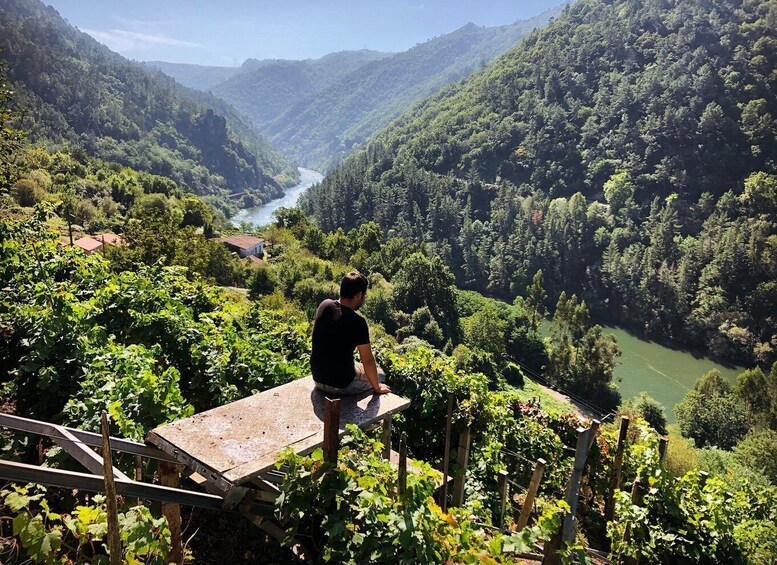 Picture 2 for Activity From Santiago: Ribeira Sacra Tour & Boat Trip