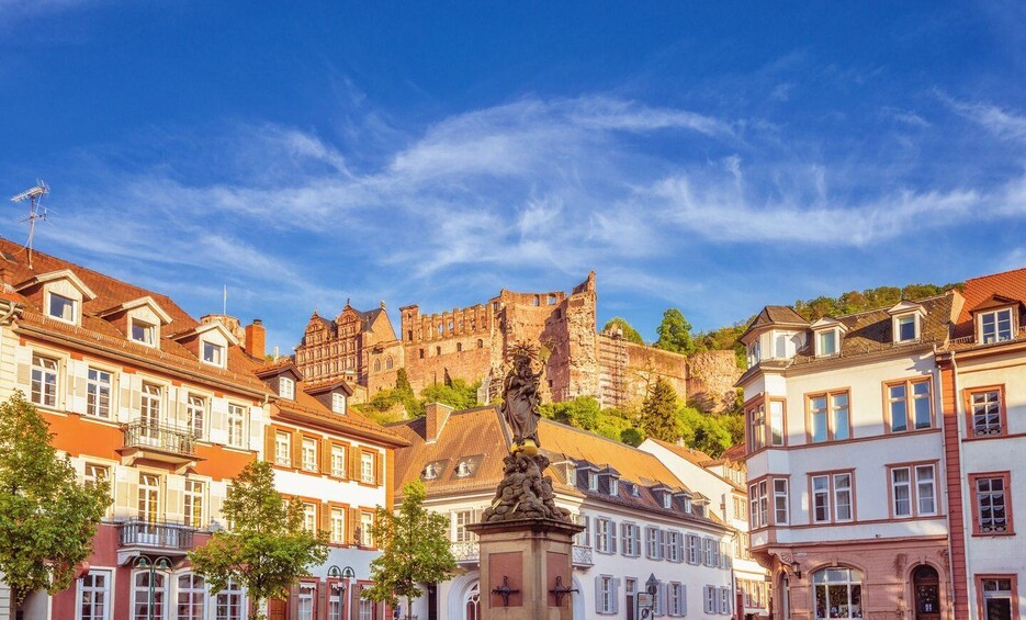 Picture 3 for Activity Heidelberg: Entertaining Guided Tour to Old Town Highlights