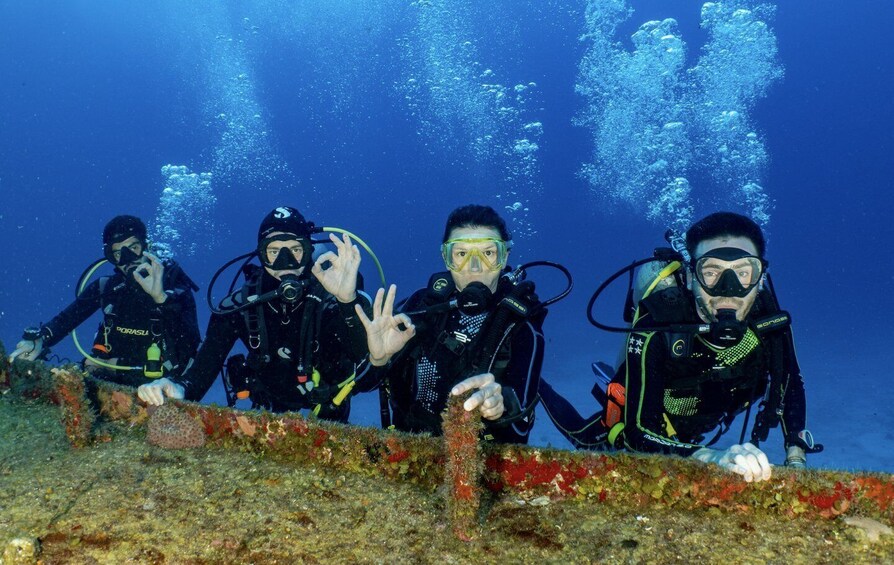 Picture 1 for Activity Scuba Diving Refresher in Cozumel