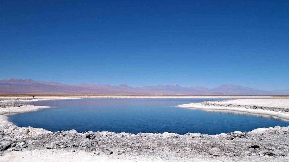 Picture 1 for Activity Cejar Lagoon, Tebenquiche Lagoon and Ojos del Salar