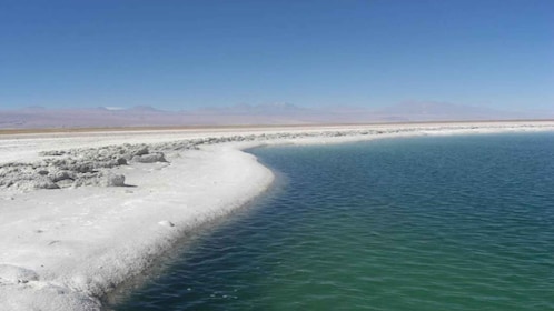 Lagune Cejar, Lagune Tebenquiche und Ojos del Salar