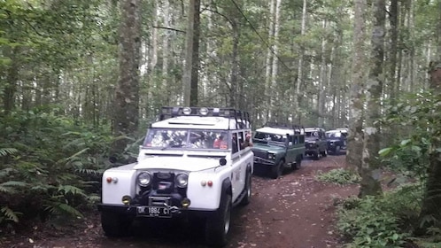 Bali: Highlights Jungle Tour with 4WD Jeep Car