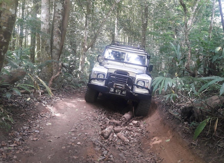 Picture 3 for Activity Bali: Highlights Jungle Tour with 4WD Jeep Car