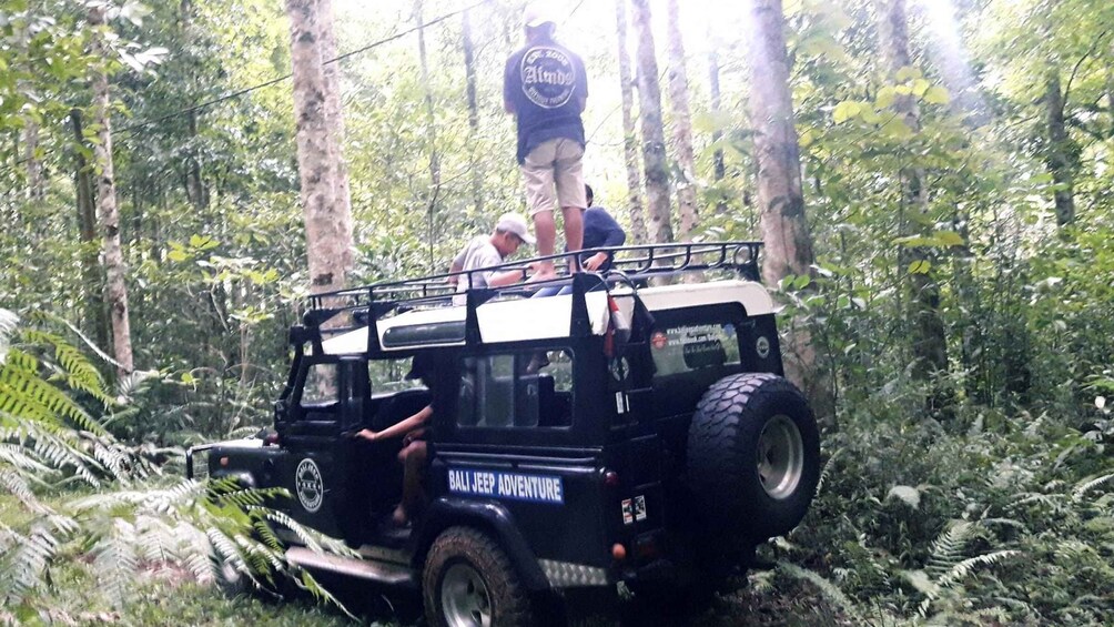 Bali: Highlights Jungle Tour with 4WD Jeep Car