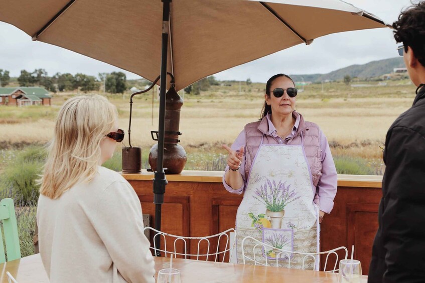 Picture 2 for Activity Lavender Field Guided Tour