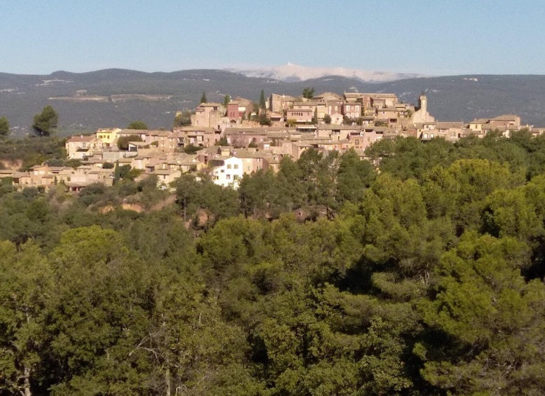 Picture 2 for Activity au départ Avignon: half-day in 3 villages of Provence