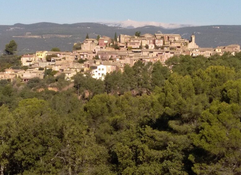 Picture 2 for Activity au départ Avignon: half-day in 3 villages of Provence