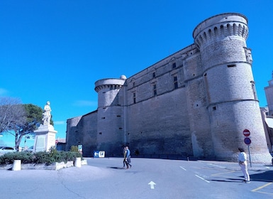 au départ Avignon: half-day in 3 villages of Provence