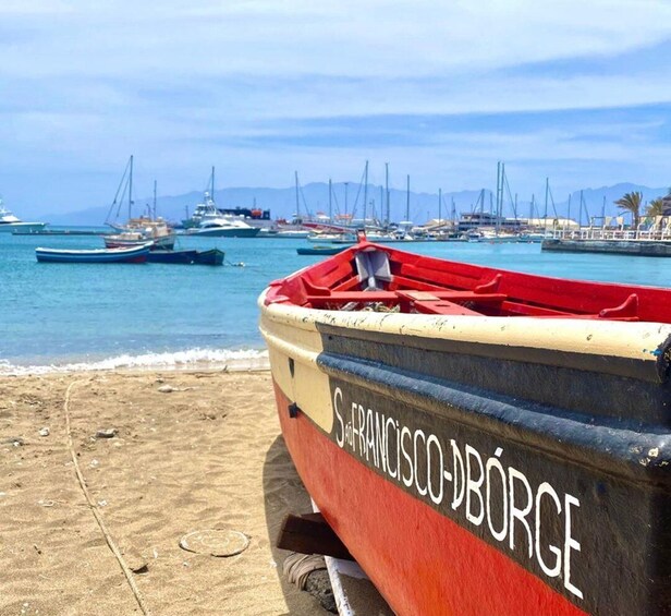 Picture 3 for Activity São Vicente: Snorkel with Sea Turtles Adventure