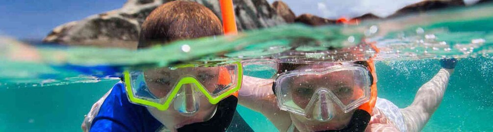 Picture 6 for Activity Olbia: Dolphin Watching and Snorkeling Boat Tour