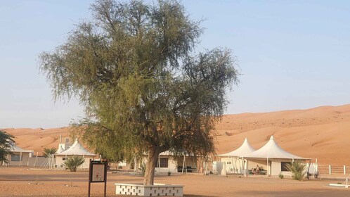 Muscat to Wahiba Desert Private Stay (Pick & Drop)