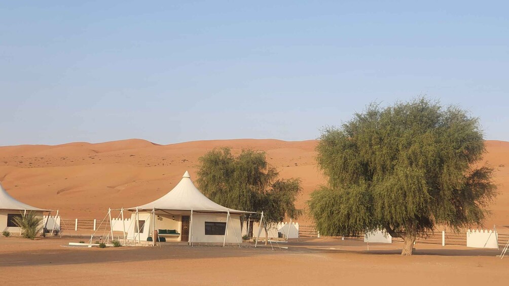 Picture 1 for Activity Muscat to Wahiba Desert Private Stay (Pick & Drop)