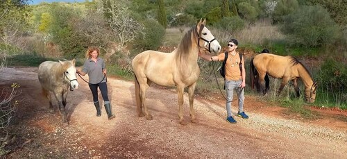 Lagos: A walk with a rescued horse at the sanctuary