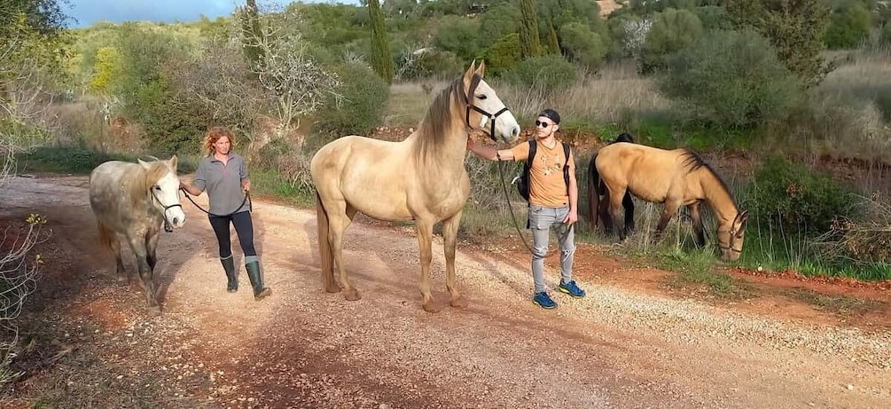 Lagos: A walk with a rescued horse at the sanctuary