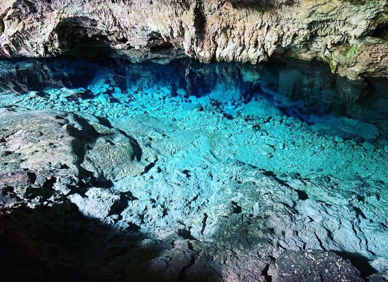 Picture 2 for Activity Kuza Cave, Blue Lagoon, Starfish, The Rock, Horseback Riding