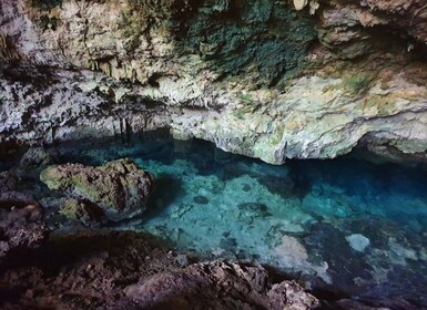 Kuza-Höhle, Blaue Lagune, Seesterne, The Rock, Reiten