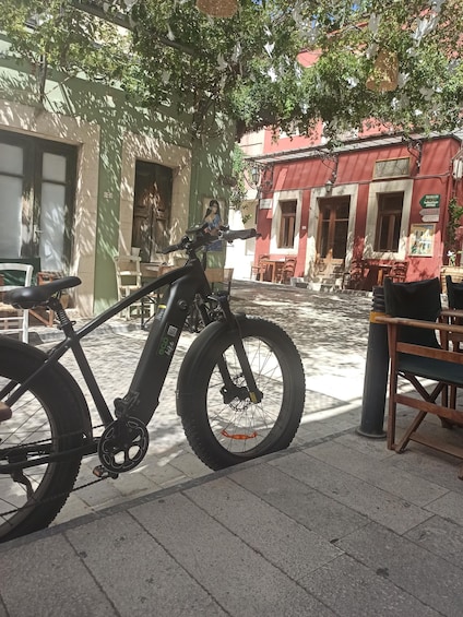 E-bike-Full Day Knossos Palace-Olive oil factory-Villages